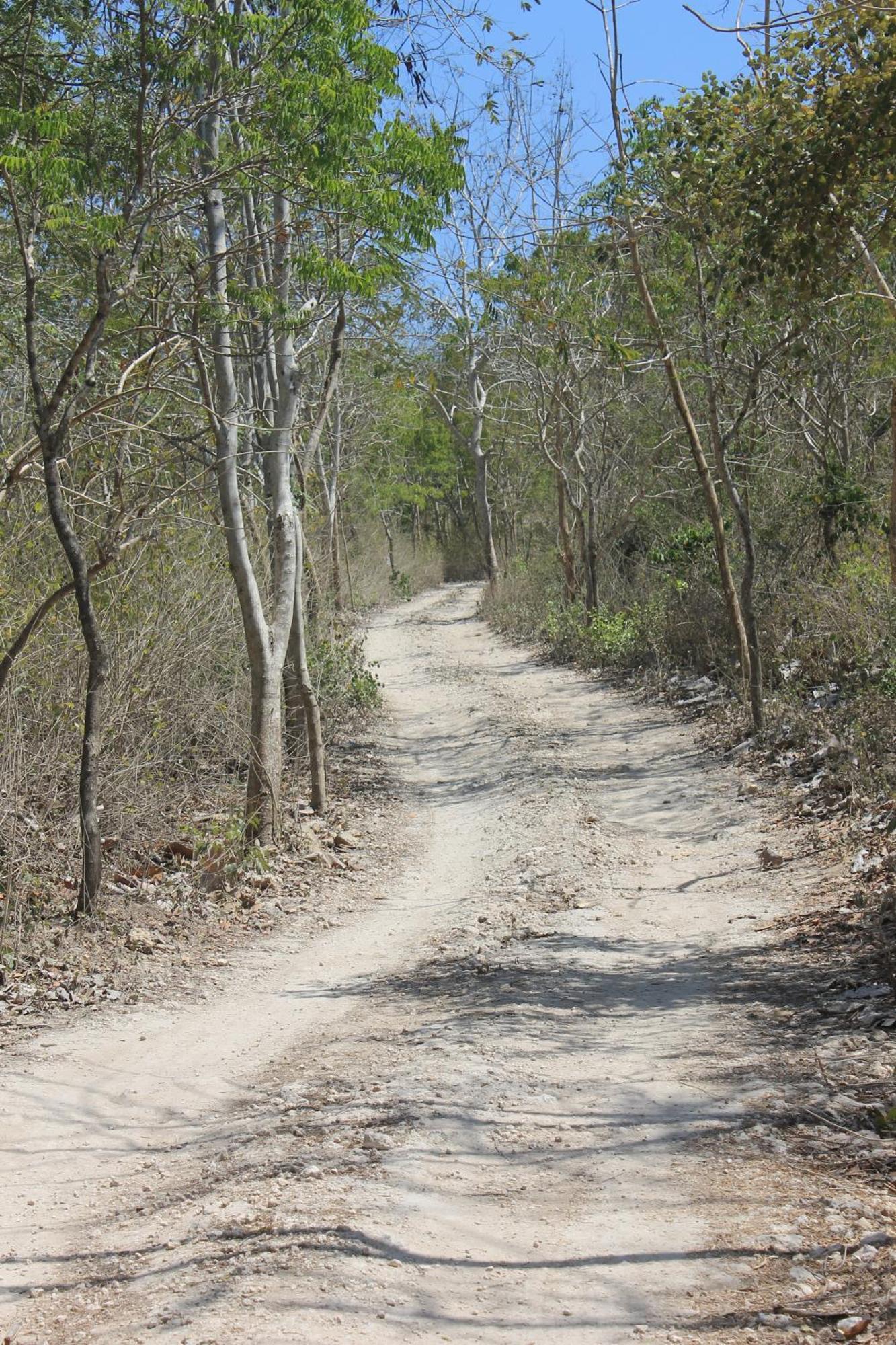 Jeeva Beloam Beach Camp Tanjung Ringgit Eksteriør billede